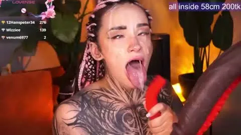 evarabbit live act